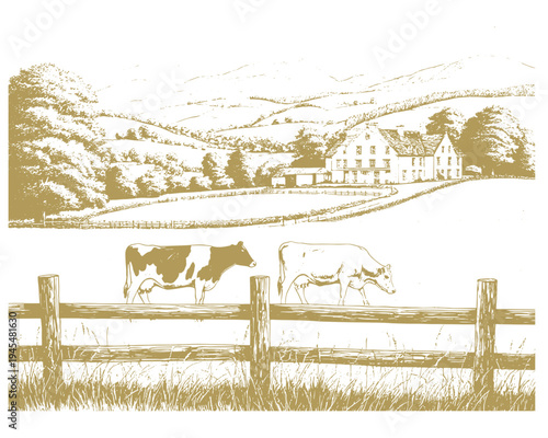 Panorama of pastures and mountains. A farmstead, a dairy farm and cottages, a road between pastures. Cows graze in field, grass and bushes in the foreground. Sketch, linear drawing on white background