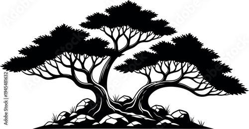 Black silhouette of a tree with twisted roots
