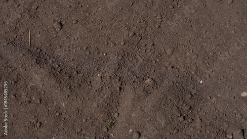 Background of dark fertile soil texture with small organic clumps.