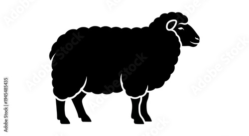 Graceful Black Sheep Silhouette in Pasture Farm Landscape. Vector Illustrations. EPS Editable