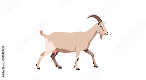 Graceful horned goat walking in calm stance. Vector Illustrations. EPS Editable