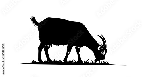 Grazing Bison Silhouette in Open Meadow. Vector Illustrations. EPS Editable