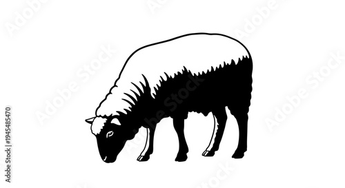 Grazing Bovine Silhouette in Profile on White Background. Vector Illustrations. EPS Editable