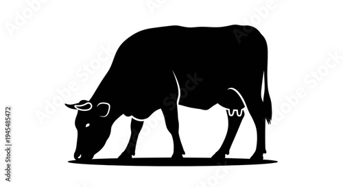 Grazing Silhouette of a Black Cow in a Field. Vector Illustrations. EPS Editable