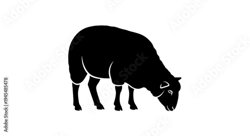 Grazing Silhouette of a Cow in a Quiet Field. Vector Illustrations. EPS Editable