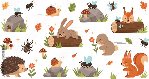 Cute Forest Animals and Insects Cartoon Set with Hedgehog, Rabbit, Squirrel, Snail, Beetles, Mushrooms, and Woodland Nature Elements for Kids Illustration