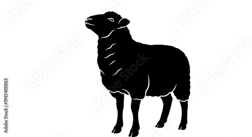 Silhouette of a Black Sheep Standing in a White Background. Vector Illustrations. EPS Editable