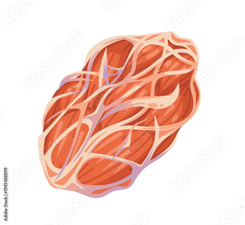 Tight Fascia and Muscle Fiber Restriction Medical Illustration