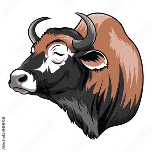 vector illustration of a bull