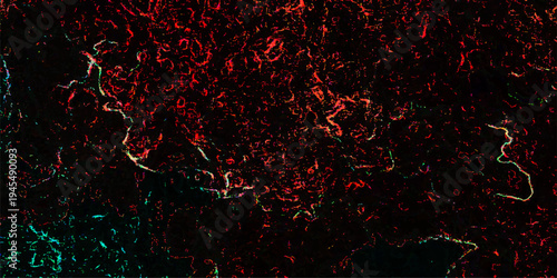 An abstract view of a network of intricate veins and arteries. The colors create a complex, chaotic, and almost topographic visual experience.