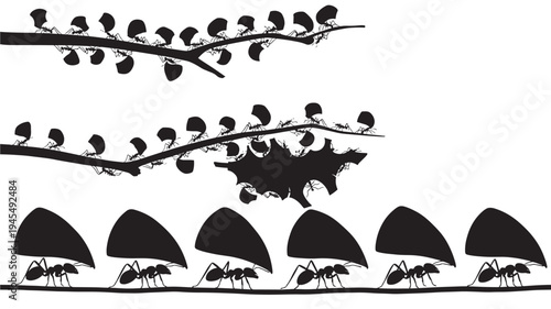 Ants carrying large leaves on branches and ground in a stylized black and white silhouette illustration