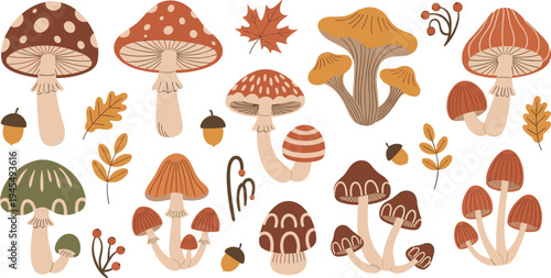 Autumn mushrooms and forest elements collection with leaves acorns toadstools and fall nature botanical vector illustration set