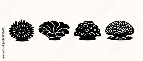 Sea Coral Silhouette Collection Marine Reef Elements Black Ocean Nature Shapes
