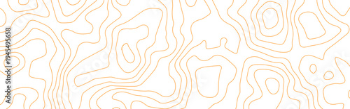 Orange Topographic Contour Lines Abstract Background, Minimal Geographic Terrain Map Pattern with Isoline Curves, Modern Cartography Style Design for Poster, Technology, Navigation and Digital Backdro