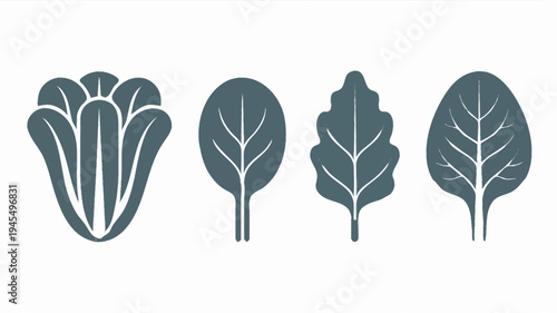 Green Leaf Vegetable Icon Set Illustration