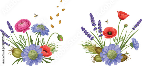 Vibrant floral arrangements with poppies and lavender on white background