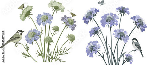 Two birds perched on purple flowers with butterfly flying nearby in natural scenery outdoors setting