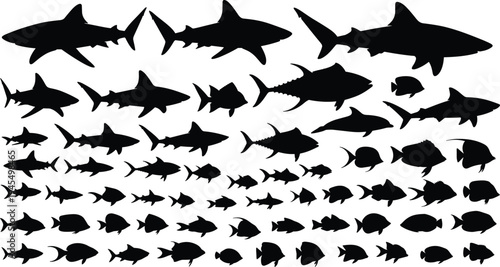 Marine animal silhouettes collection, shark fish outline, dolphin figure design, aquatic wildlife icon, ocean biodiversity illustration, sea creature motif