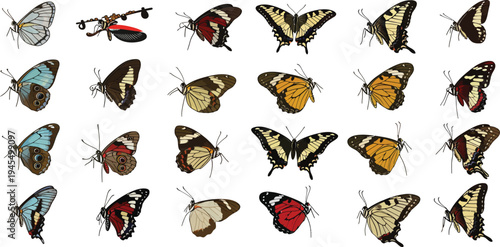 Collection of various colorful butterfly wings with detailed patterns and vibrant hues on white background