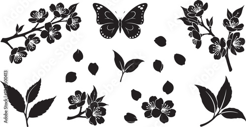 Black and white butterfly flowers leaves illustration set