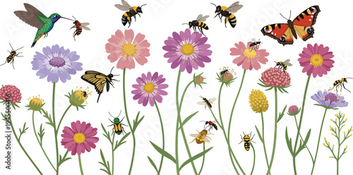 Colorful illustration of flowers with hummingbirds butterflies and bees flying around them in a garden