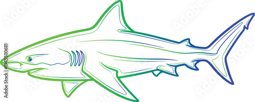 A colorful illustration of a shark with green and blue lines on white background