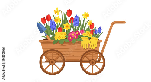 Wooden Wheelbarrow Overflowing with Colorful Spring Flowers Tulips Daffodils Hyacinths and Gardening Gloves, Isolated White Background