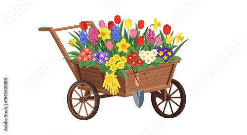 Rustic Wooden Wheelbarrow Full of Vibrant Spring Flowers Tulips Daffodils Hyacinths and Gardening Gloves, Isolated White Background