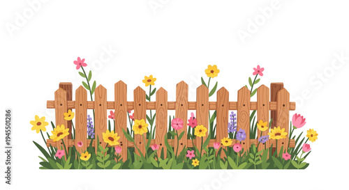 Charming Wooden Picket Fence with Colorful Spring Flowers and Green Grass, isolated white background.