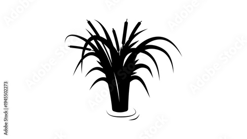 reeds symbol, black isolated silhouette