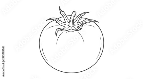 Fresh Tomato Vegetable Closeup Illustration.