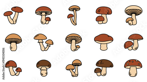 Set of edible mushroom drawings with brown caps and cream stems suitable for autumn nature and cooking design projects.