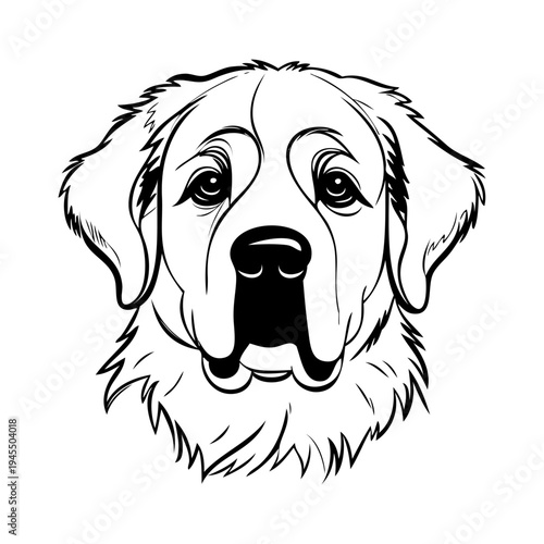 Dibujo sencillo con líneas de la cabeza de un perro San Bernardo visto de frente