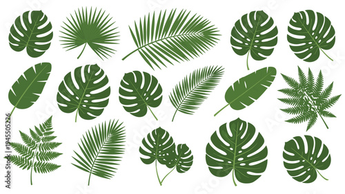 Tropical leaf silhouettes set featuring monstera fern and palm fronds for exotic summer themes and botanical decorations.
