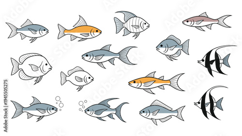 Diverse fish species collection featuring various shapes and colors for seafood market aquarium and fishing hobby designs.