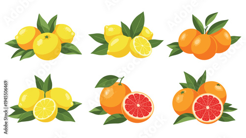 Composition of citrus fruits including lemons oranges and grapefruits with green leaves in a flat design style.