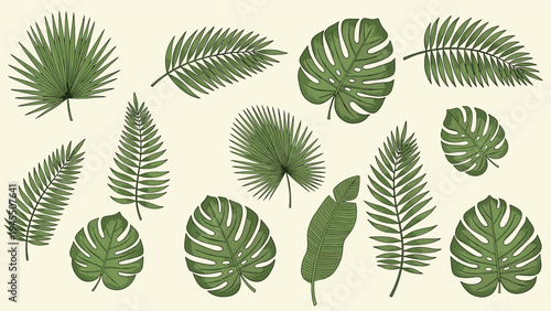 Elegant set of various green plant leaves including palm fern and monstera on a warm beige background for design.