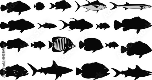 Fish silhouettes collection featuring various marine and freshwater species including shark and tuna, aquatic wildlife vector illustration set isolated on white background