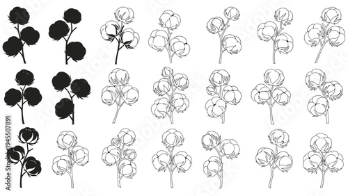 Extensive collection of cotton boll illustrations in various styles including silhouettes outlines and detailed sketches.
