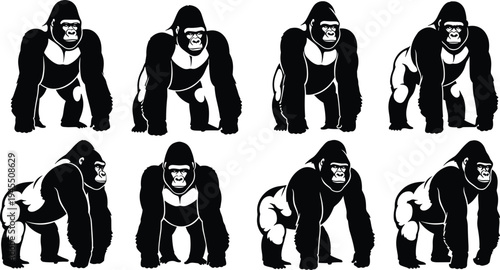 Gorilla silhouettes collection featuring powerful ape poses, wildlife animal illustration set with standing and walking gorillas, detailed vector design isolated on white background