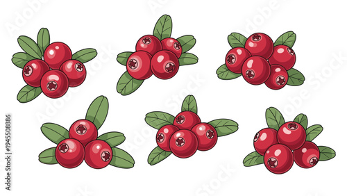 Assorted sets of red lingonberries with green leaves shown in various clusters on a plain white background for design and culinary projects.