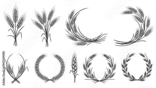 Black and white vintage style sketches of wheat ears and wreaths in different arrangements for agricultural and harvest designs.