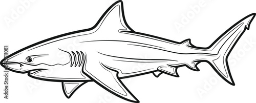 A black and white illustration of a shark isolated on white background