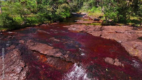 Wallpaper Mural Aerial drone shot of Caño Sabana reveals a vibrant river in Guaviare, Colombia, with colorful waters, surrounding forest, and striking natural textures from above. Torontodigital.ca