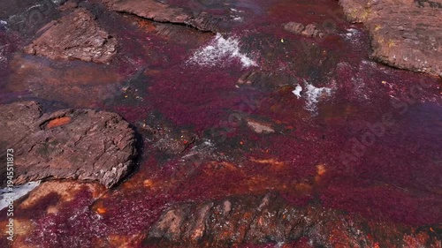 Wallpaper Mural Drone footage above Caño Sabana captures the river’s colorful appearance, surrounding rainforest, and the untouched environment of Guaviare, Colombia. Torontodigital.ca