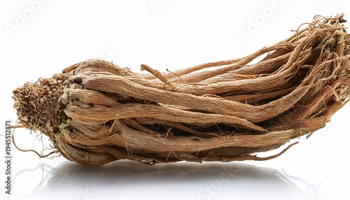 Photo Of Alkanet Root Isolated On Transparent Background