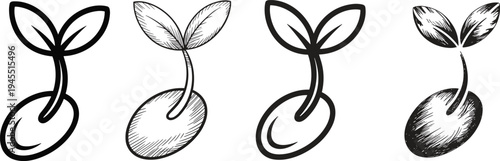 Seed sprout icon set hand drawn seedling germination plant growth botanical line art engraving style vector illustration collection isolated