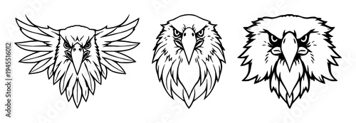 Eagle head set with symmetrical line art design featuring predatory bird style, modern aesthetic, bold lines with animal illustration and graphic element