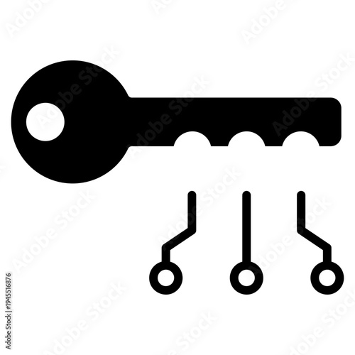 Digital Security Key Icon