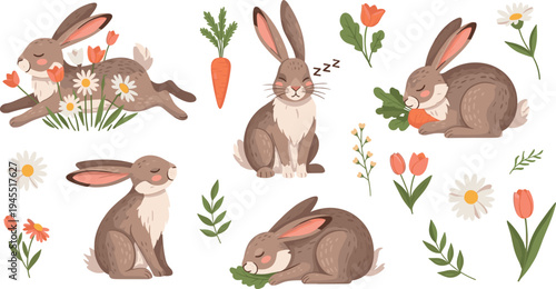 Cute rabbit characters collection with carrots flowers leaves and sleeping bunny poses spring nature cartoon vector illustration set